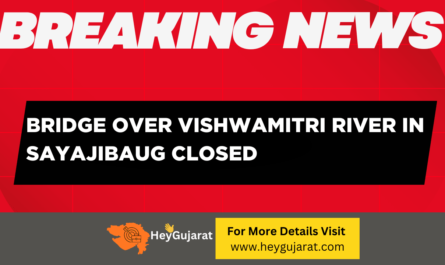 Bridge Over Vishwamitri River in Sayajibaug Closed