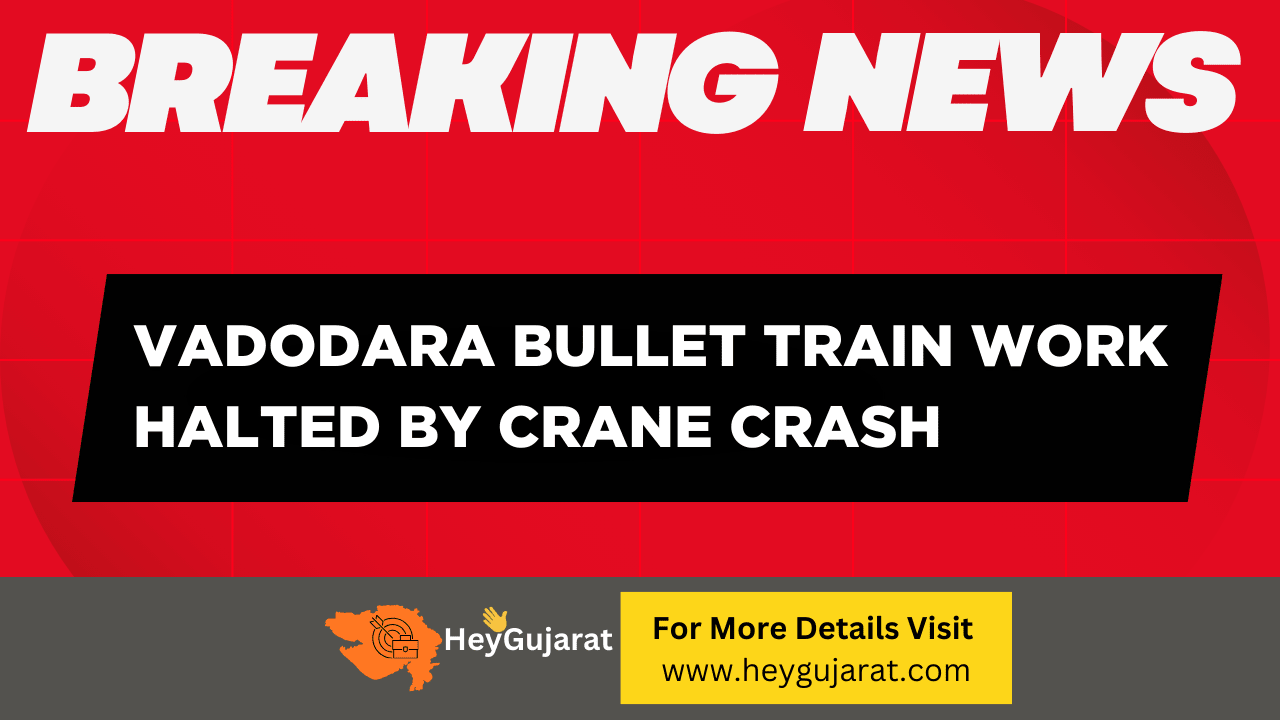 Vadodara Bullet Train Work Halted by Crane Crash
